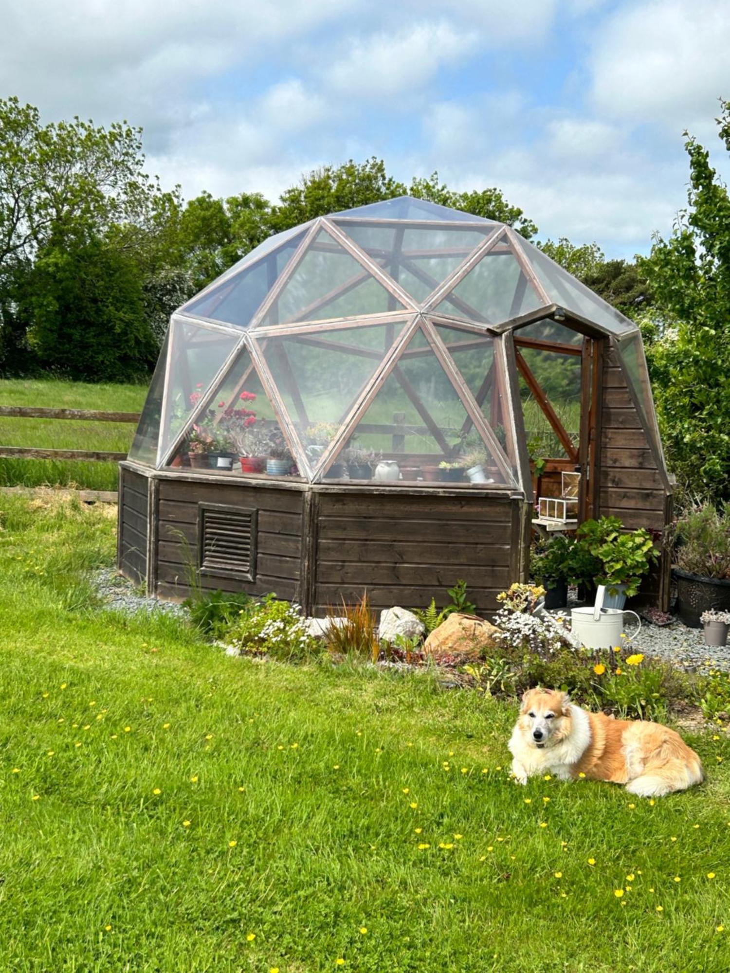 Tobernaglough Wexford Pet Friendly Country B&B Ramsgrange Exterior photo