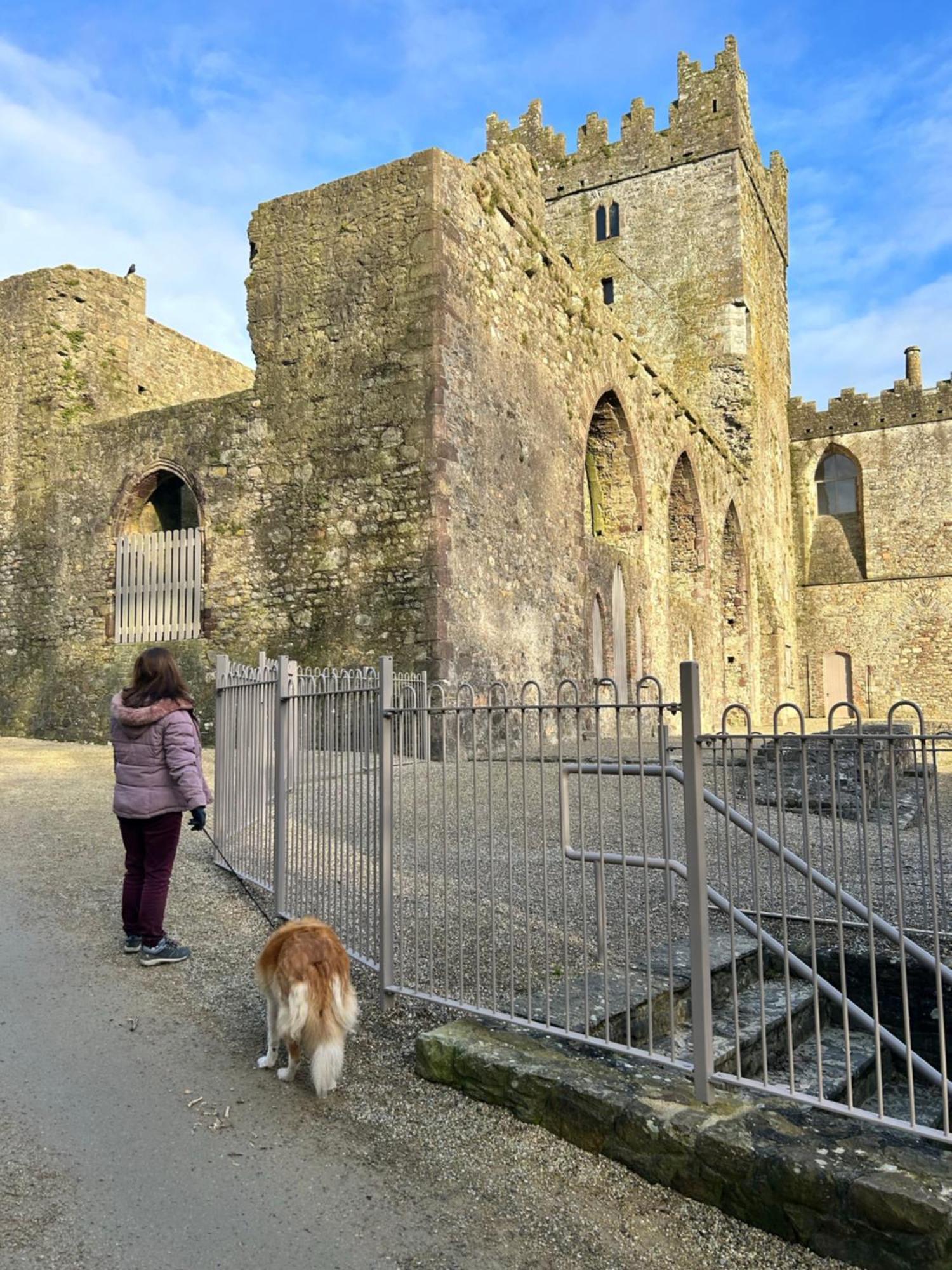 Tobernaglough Wexford Pet Friendly Country B&B Ramsgrange Exterior photo