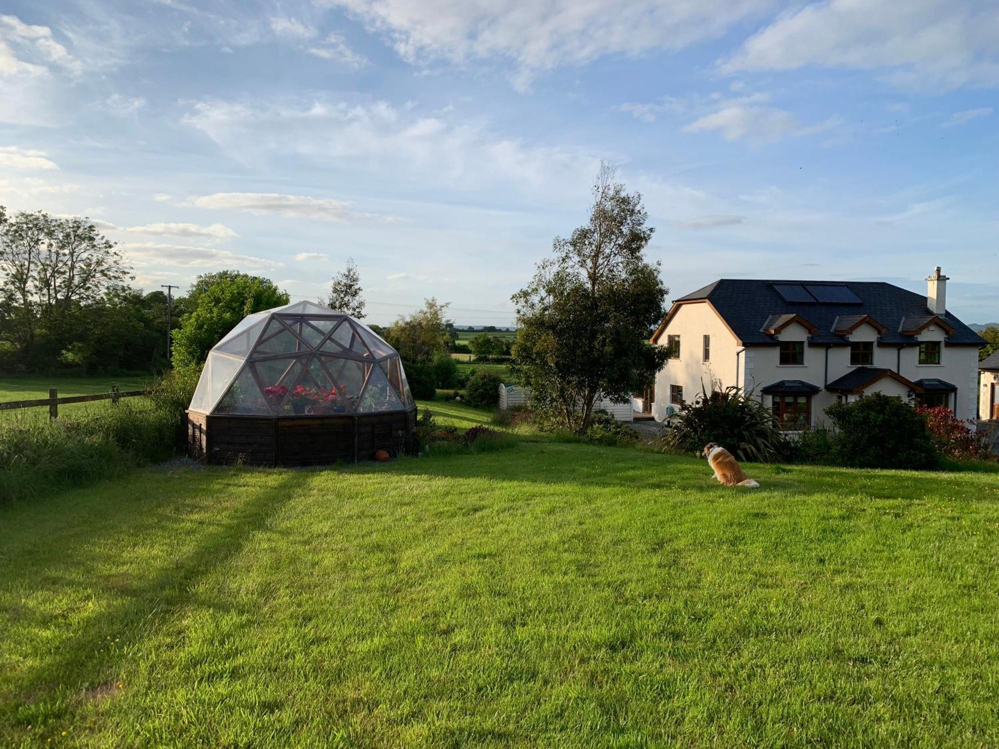 Tobernaglough Wexford Pet Friendly Country B&B Ramsgrange Exterior photo