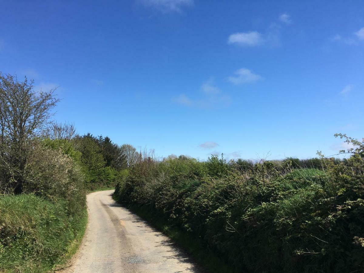 Tobernaglough Wexford Pet Friendly Country B&B Ramsgrange Exterior photo