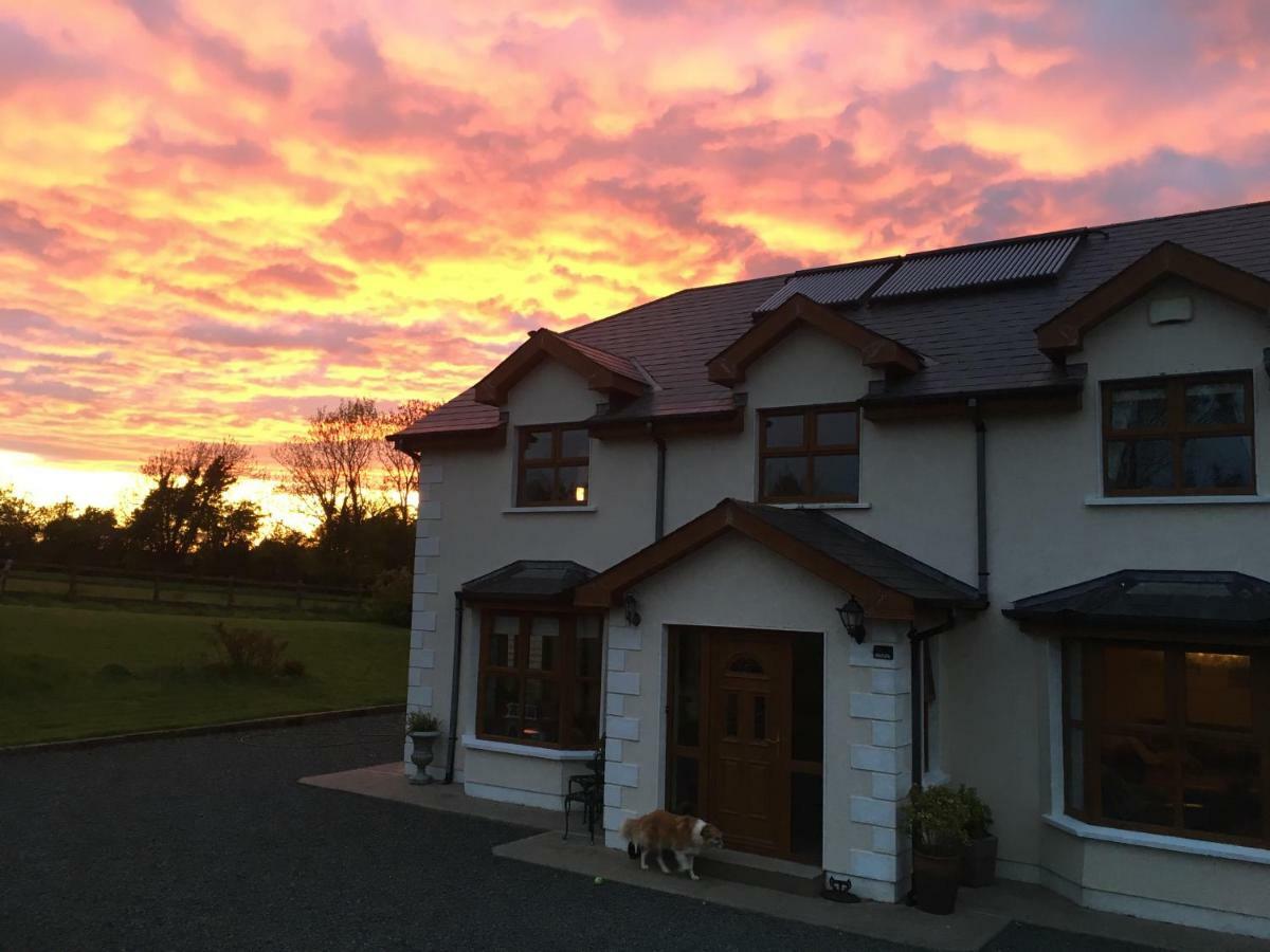 Tobernaglough Wexford Pet Friendly Country B&B Ramsgrange Exterior photo